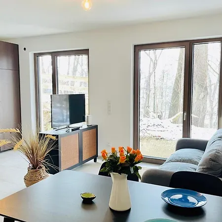 Luxury With View Apartment Munich