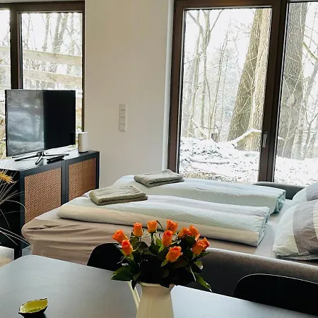 Luxury With View Apartment